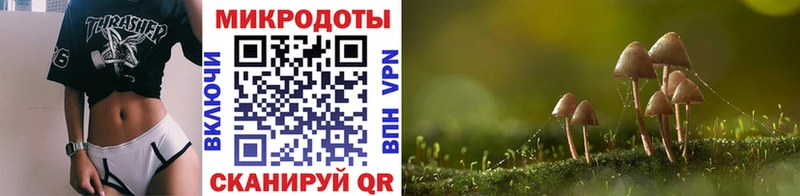 Галлюциногенные грибы мухоморы  Байкальск 